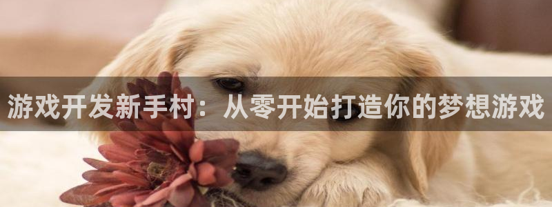 沐鸣娱乐2注册官网