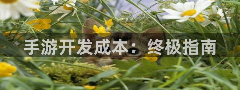 沐鸣2官方注册