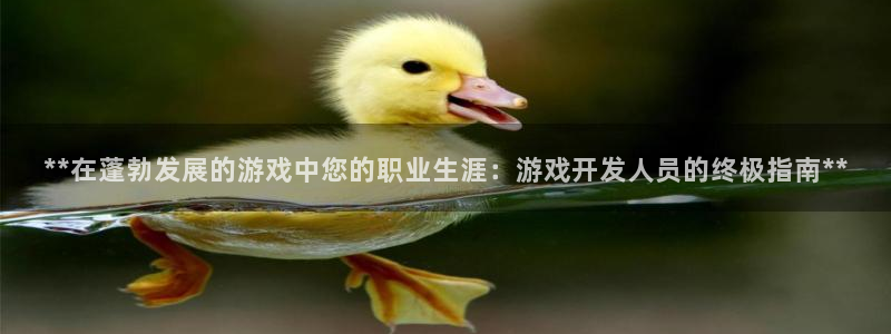 沐鸣2平台在线注册