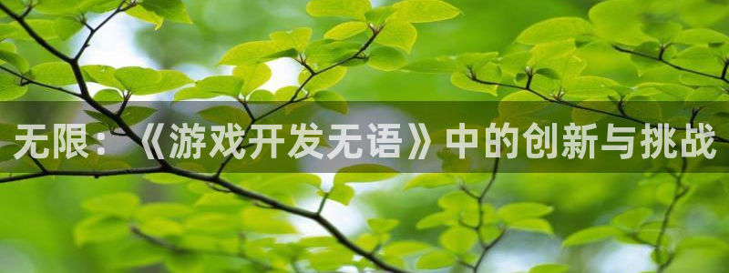 沐鸣2代理酋27337：无限：《游戏开发无语》中的创新与挑战