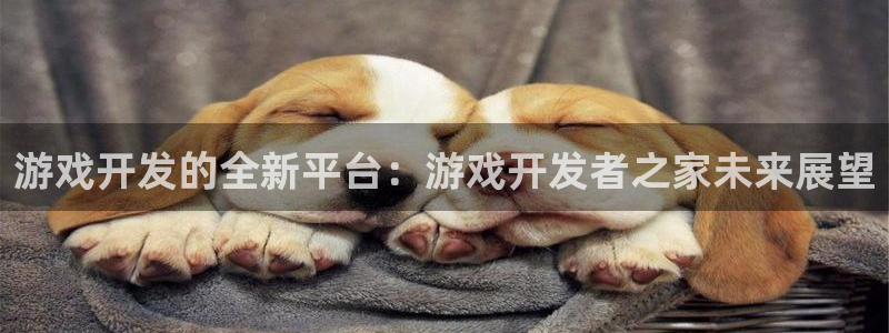 沐鸣娱乐2在线登录：游戏开发的全新平台：游戏开发者之家未来展望