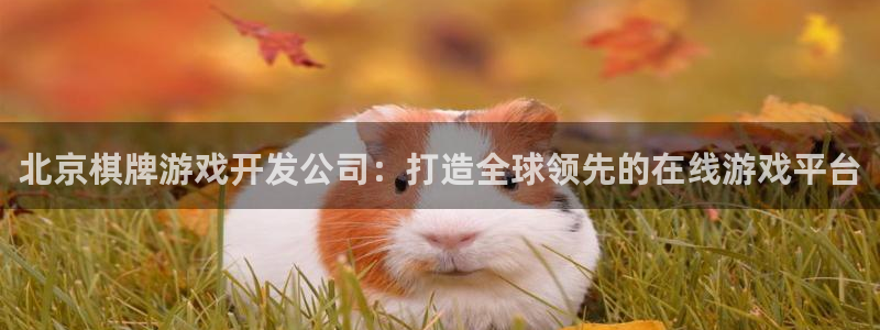 沐鸣2注册连接：北京棋牌游戏开发公司：打造全球领先的在线游戏平台