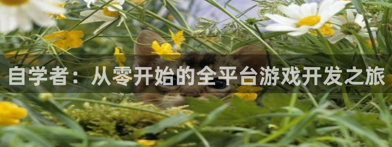 沐鸣2平台官网：自学者：从零开始的全平台游戏开发之旅