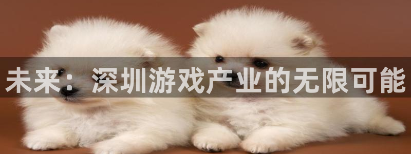 沐鸣2登录网址：未来：深圳游戏产业的无限可能