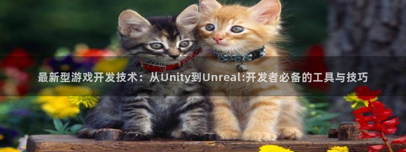 沐鸣娱乐2手机下载：最新型游戏开发技术：从Unity到Unreal:开发者必备的工具与技巧