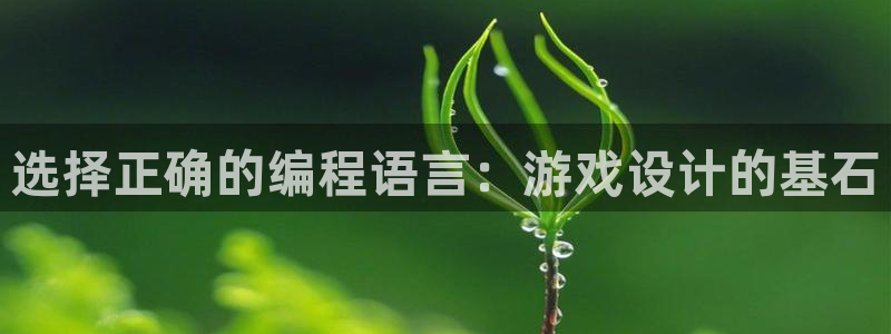 沐鸣2登录注册：选择正确的编程语言：游戏设计的基石