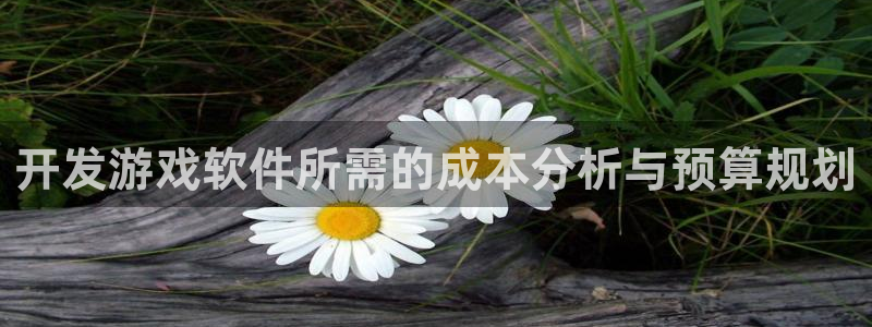 沐鸣娱乐2登录：开发游戏软件所需的成本分析与预算规划