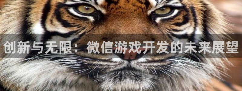 沐鸣2平台代理