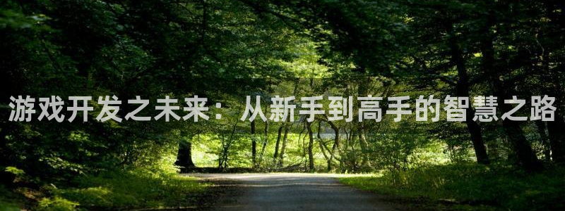 沐鸣2注册：游戏开发之未来：从新手到高手的智慧之路