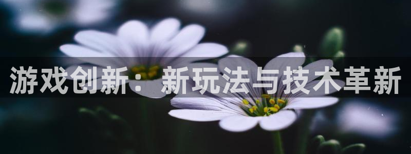 沐鸣2账号注册：游戏创新：新玩法与技术革新