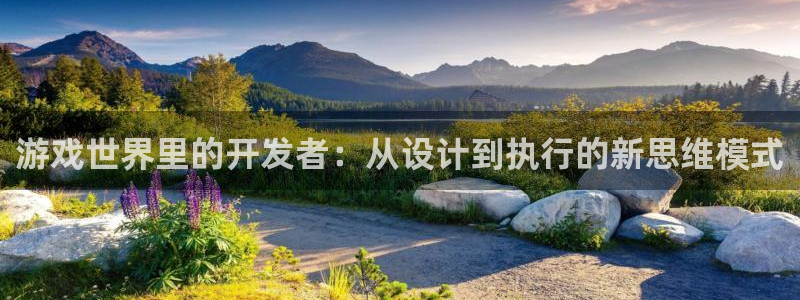 沐鸣2app：游戏世界里的开发者：从设计到执行的新思维模式