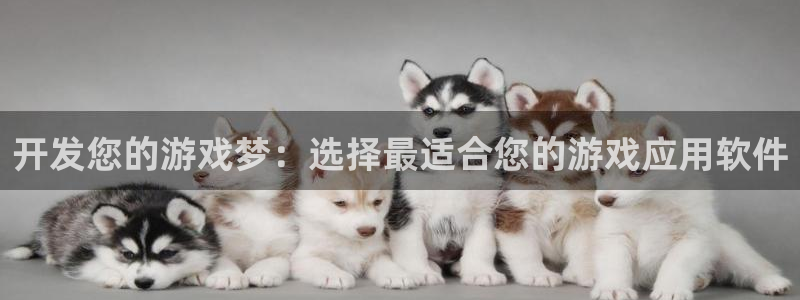 沐鸣2注册开户：开发您的游戏梦：选择最适合您的游戏应用软件