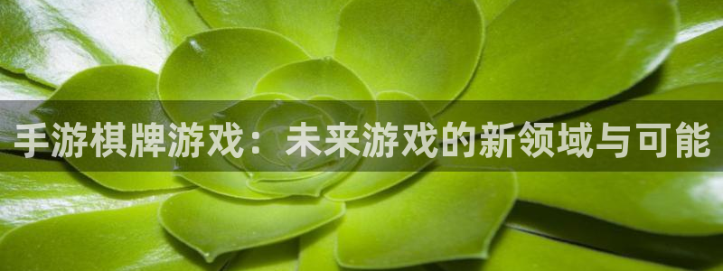 沐鸣娱乐2注册平台：手游棋牌游戏：未来游戏的新领域与可能