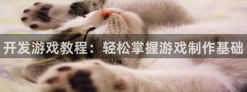 沐鸣娱乐2手机下载破解版：开发游戏教程：轻松掌握游戏制作基础