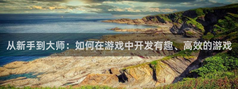 沐鸣娱乐2多彩平台：从新手到大师：如何在游戏中开发有趣、高效的游戏