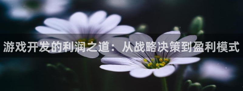 沐鸣2平台注册流程：游戏开发的利润之道：从战略决策到盈利模式