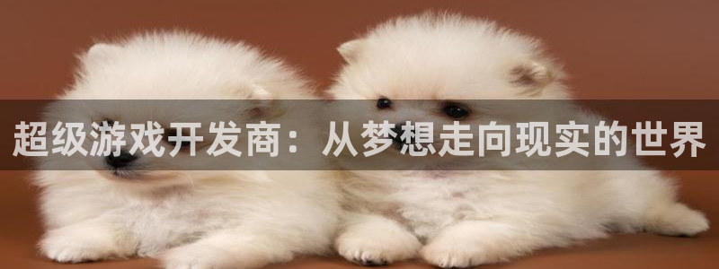 沐鸣2注册33300tg：超级游戏开发商：从梦想走向现实的世界