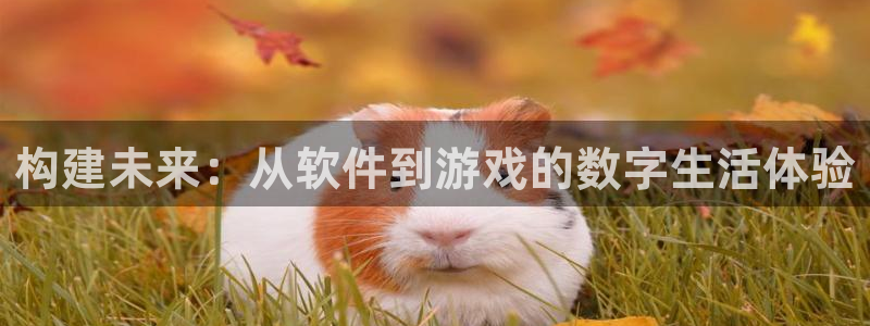 沐鸣娱乐2上来77542：构建未来：从软件到游戏的数字生活体验