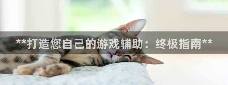 沐鸣娱乐2注册地址：**打造您自己的游戏辅助：终极指南**