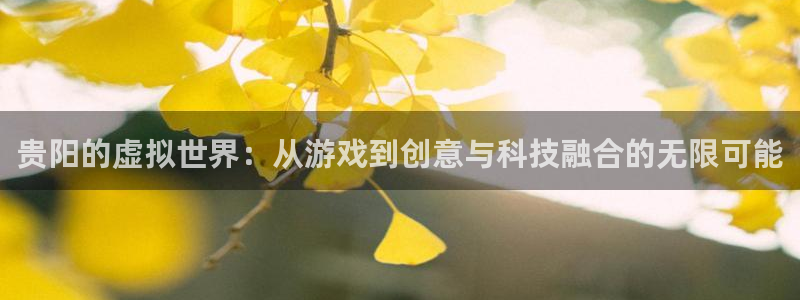 沐鸣2撤35994还和：贵阳的虚拟世界：从游戏到创意与科技融合的无限可能