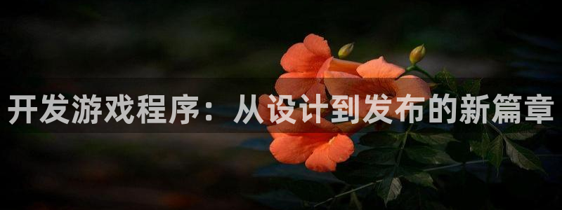 沐鸣娱乐2在线注册：开发游戏程序：从设计到发布的新篇章