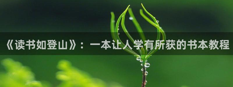 小说下载网站txt奇书网