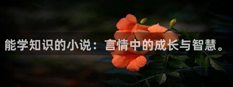 仙路绿途txt下载奇书网